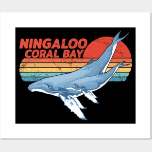 Humpback Whales Ningaloo Coral Bay Posters and Art